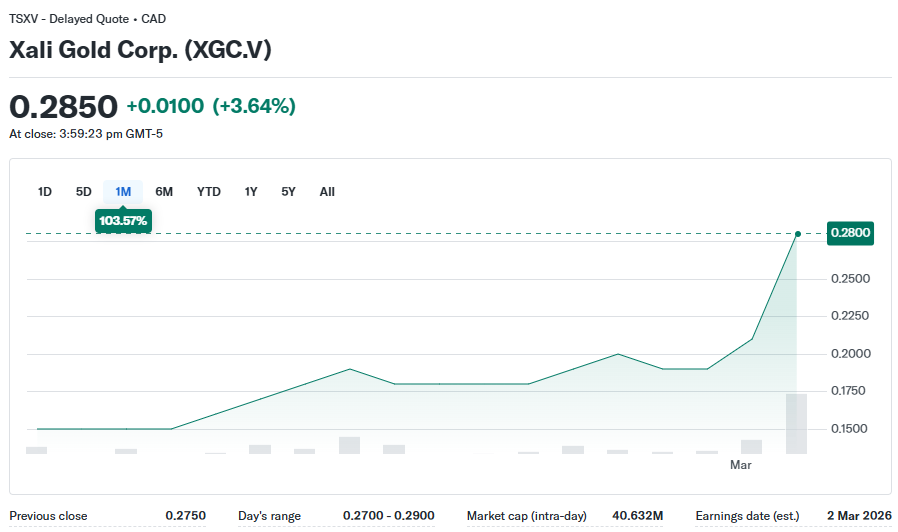 Paola Rojas 🐝 tweet media