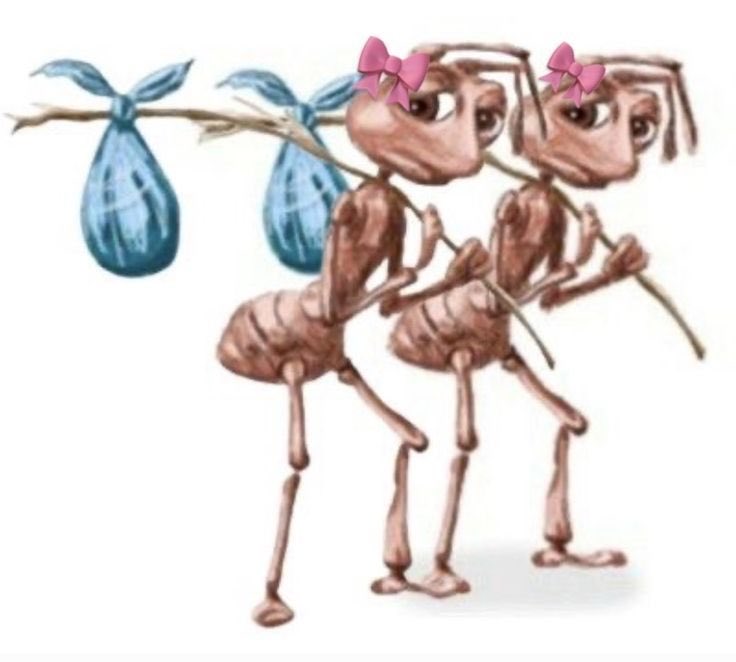 m a r i a 🍃 tweet media