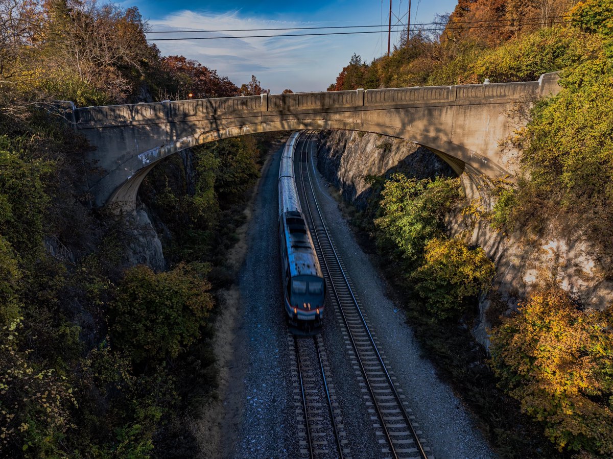 Bradt Guides tweet media