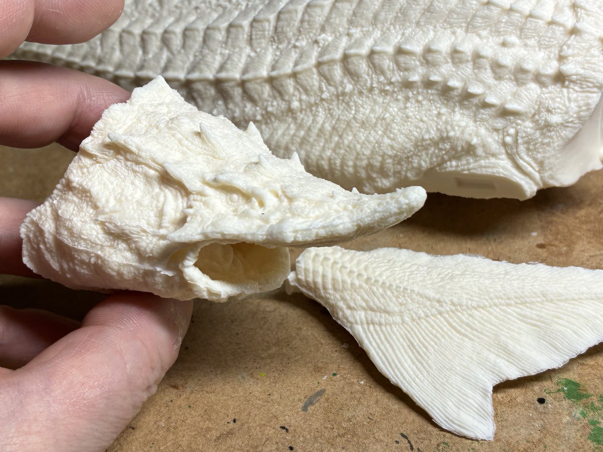 福田 浩史 WF5-30-08 tweet media