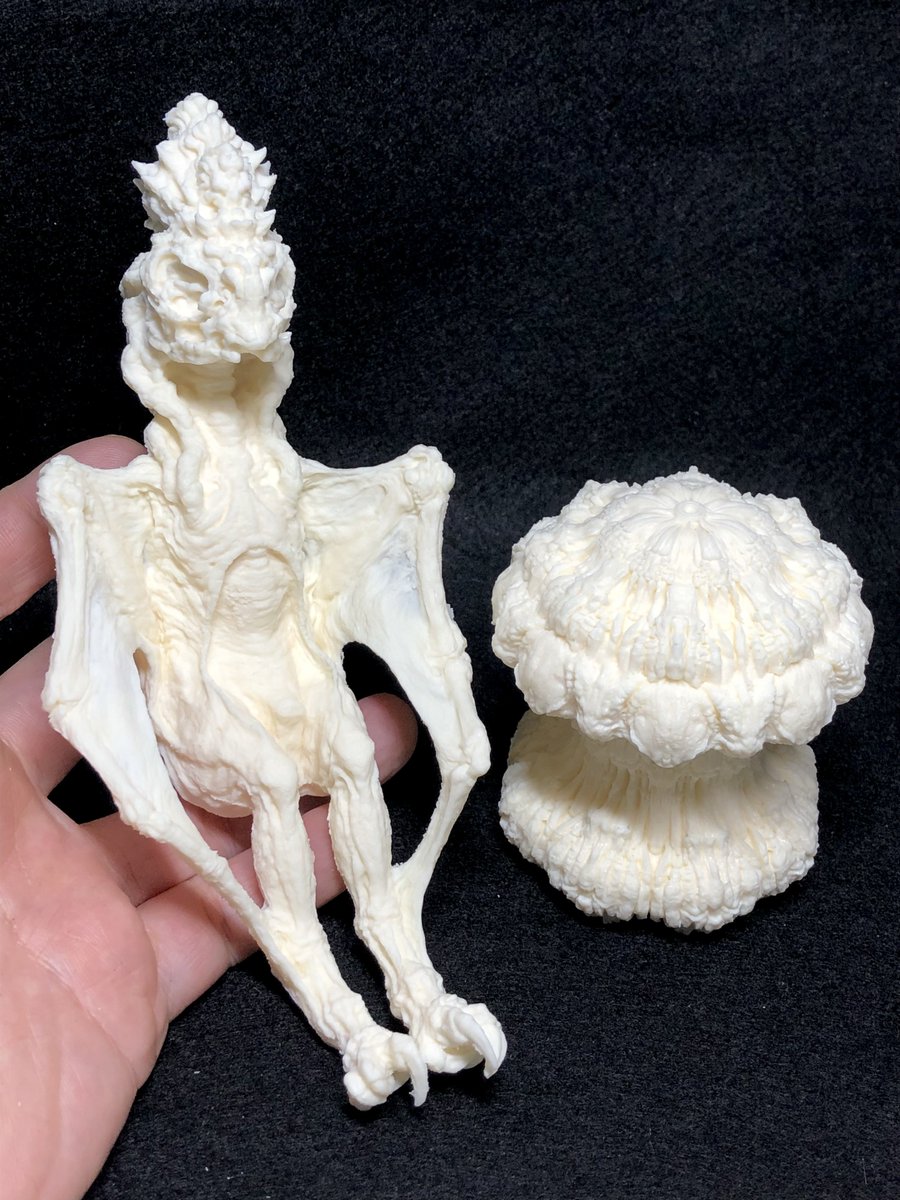 福田 浩史 WF5-30-08 tweet media