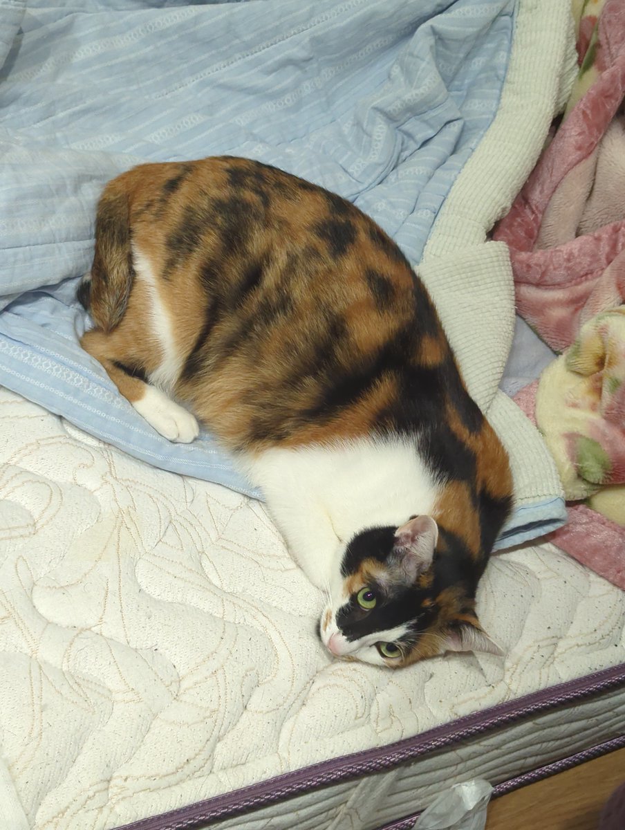 Yuu Jinnai tweet media