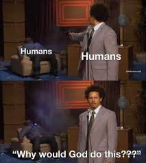 ✞ n0tRsM ✠ tweet media