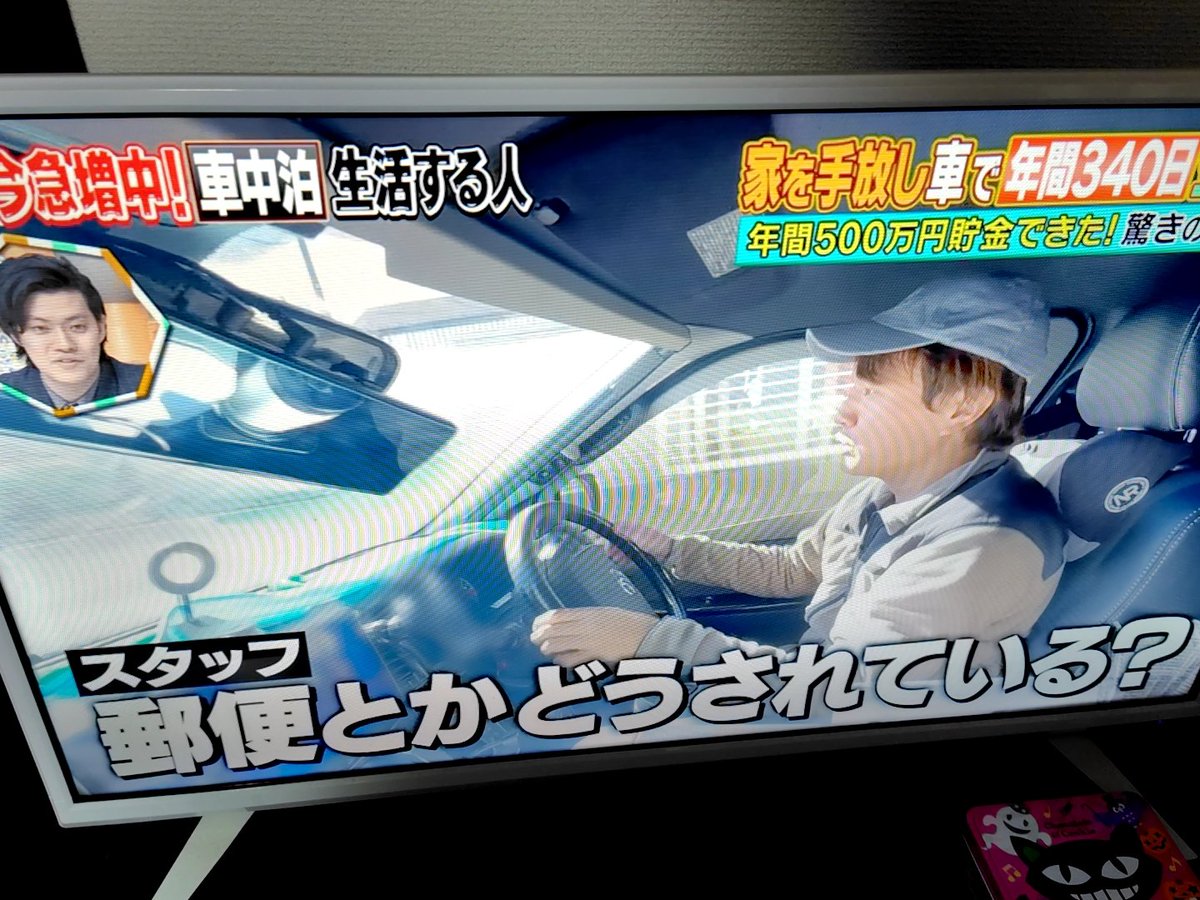 とびねこ tweet media