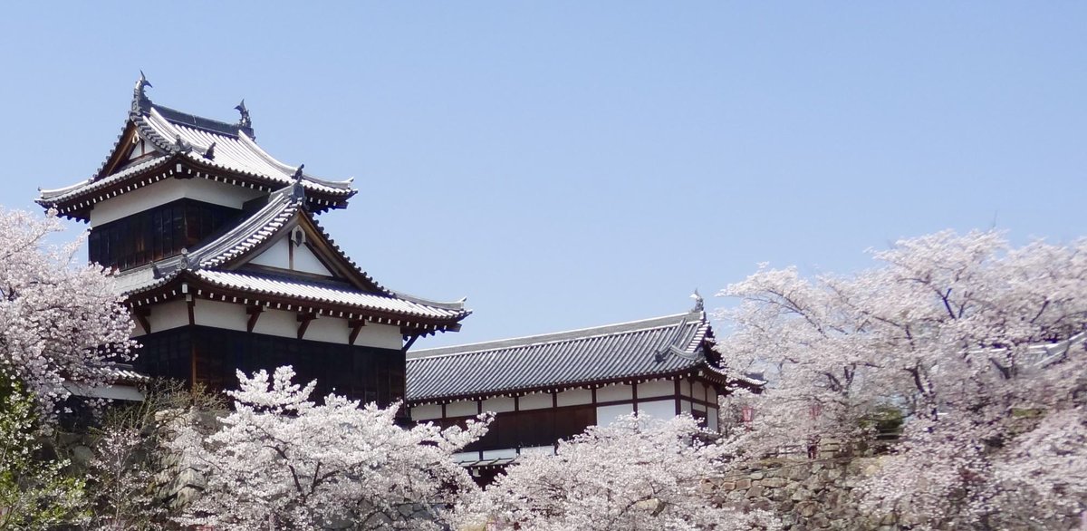 【奈良県のお花見スポットまとめ】
・1枚目：吉野山(吉野郡吉野町)
・2枚目：又兵衛桜(宇陀市)
・3枚目：奈良公園(奈良市)
・4枚目：郡山城跡(大和郡山市)
・月ヶ瀬湖畔(奈良市)
・帯解寺(奈良市)
・平城宮跡資料館周辺(奈良市) 
・旧柳生藩陣屋跡(奈良市)
・柳生芳徳禅寺(奈良市)
・氷室神社(奈良市)
