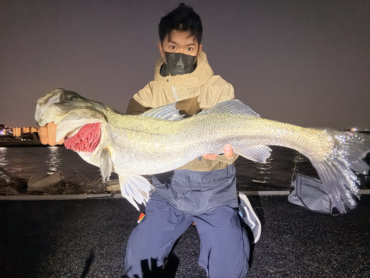 murachio's tweet photo. 家から5分のポイントでこれが釣れる
ポテンシャルに感謝🙏🙏
88センチ🔥🔥 https://t.co/oZ4FEnWfKv