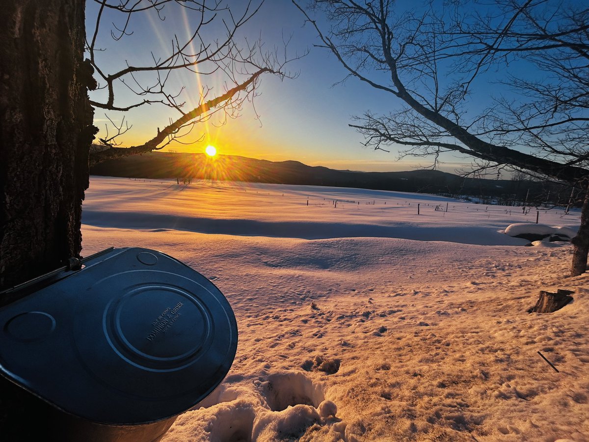 anson_ag's tweet photo. Letβs go. Cusp of a great sap run. The forecast is lining up to make #Vt maple. π Weather advisory up in some regions. https://t.co/cGypWnZ6Zd #Sunrise #Vtmaple https://t.co/1J5xsxM7sG