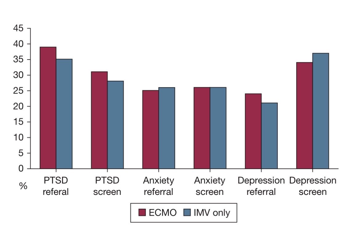 Hayley Gershengorn tweet media