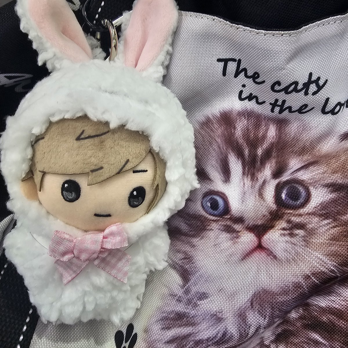 なおみ (@703nyapa) / Posts / X