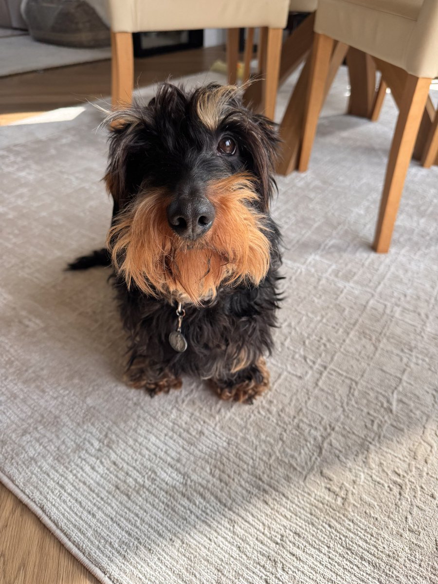 IsabellaDaxie tweet picture