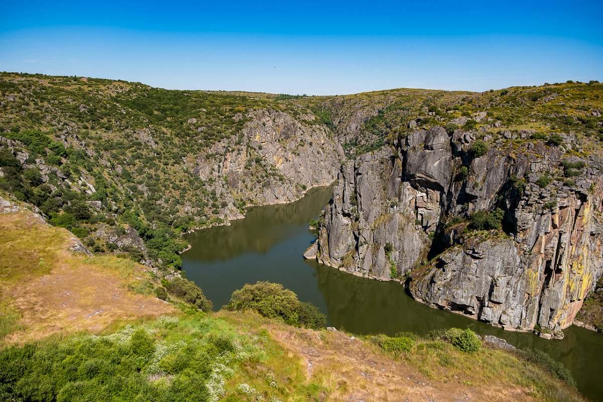 CCDR NORTE tweet media