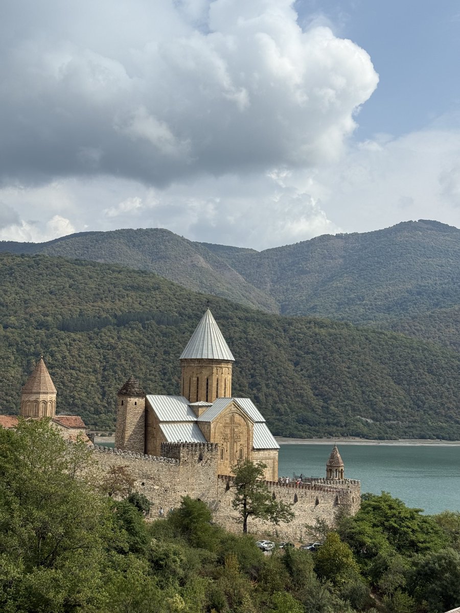 Untamed Borders tweet media