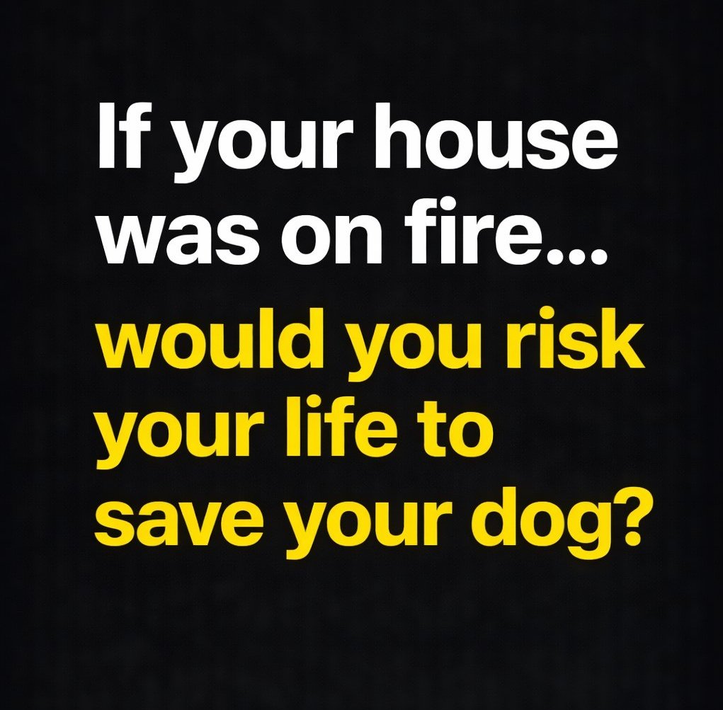 Emily 🦋 tweet media