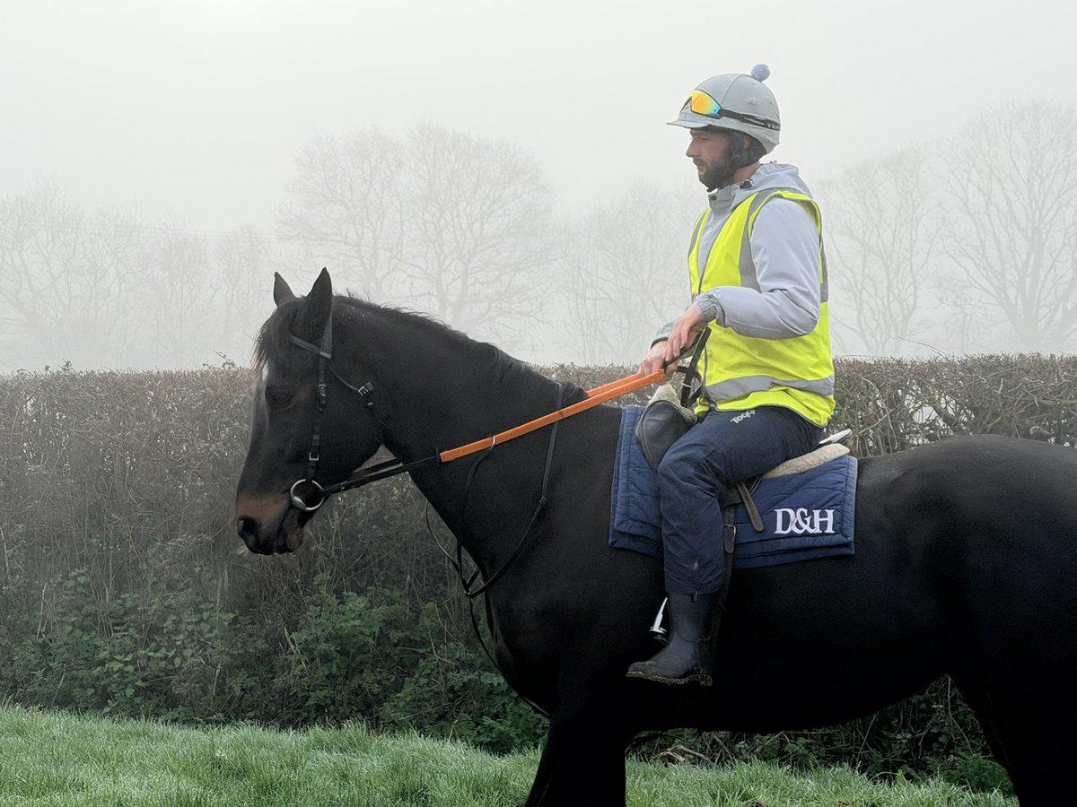 alexdunn_racing's tweet photo. Instant Gambler #horseracing #teamdunn #racehorse https://t.co/brbABrj6Fw