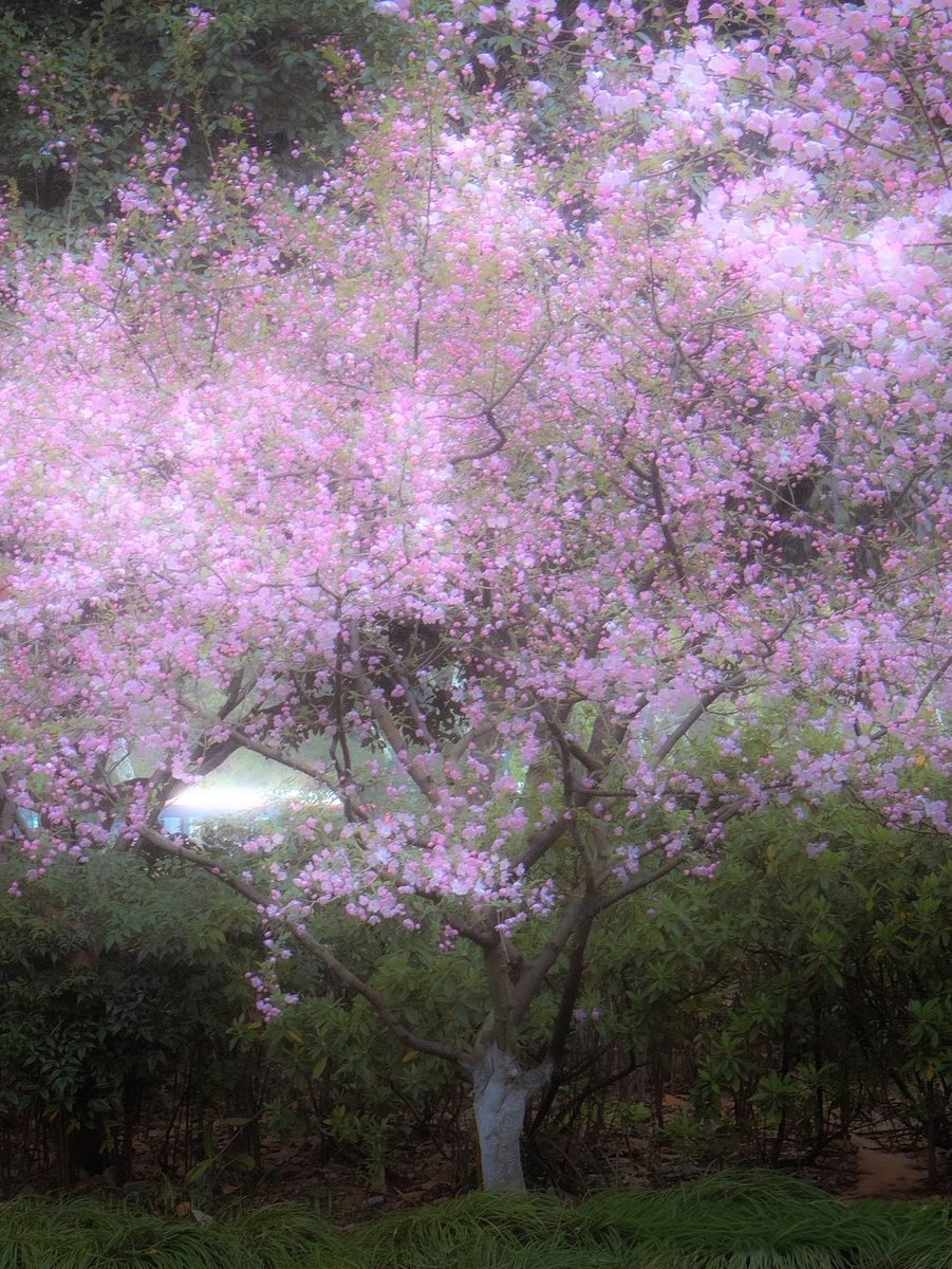 Love life tweet media