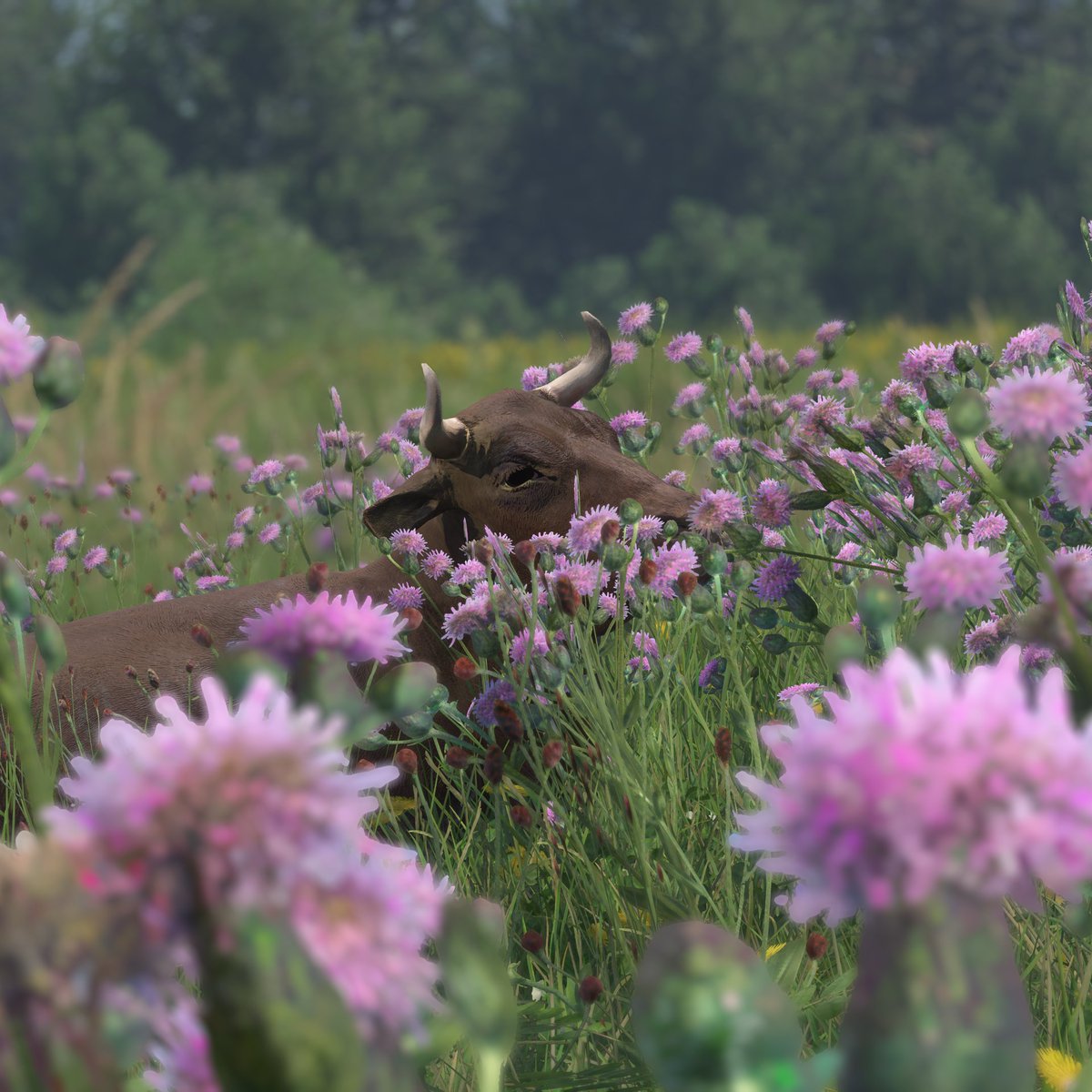 ComputART - Loris tweet media