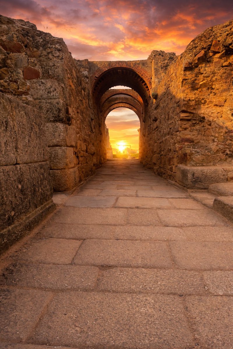 JOSE MARIA tweet media