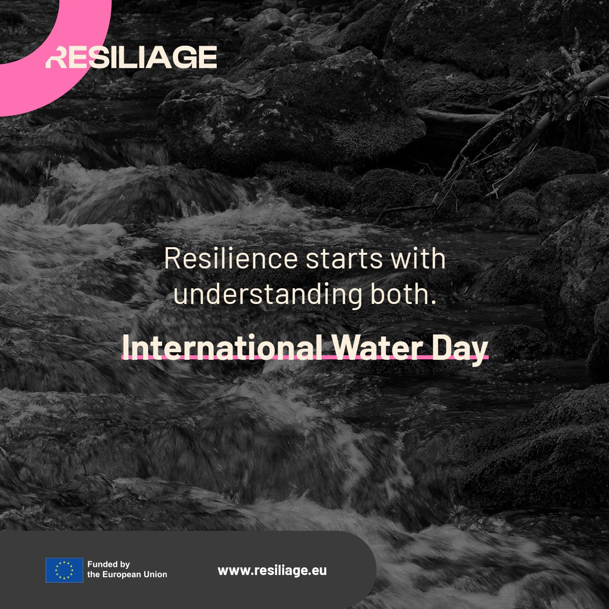 Resiliage tweet media