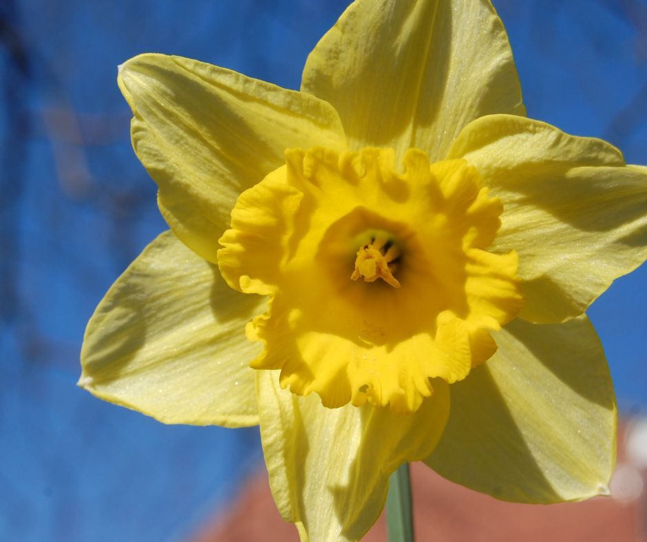 Muddy Faces tweet media