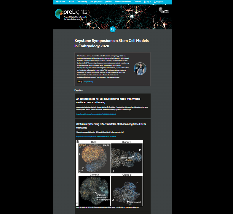 preLights tweet media