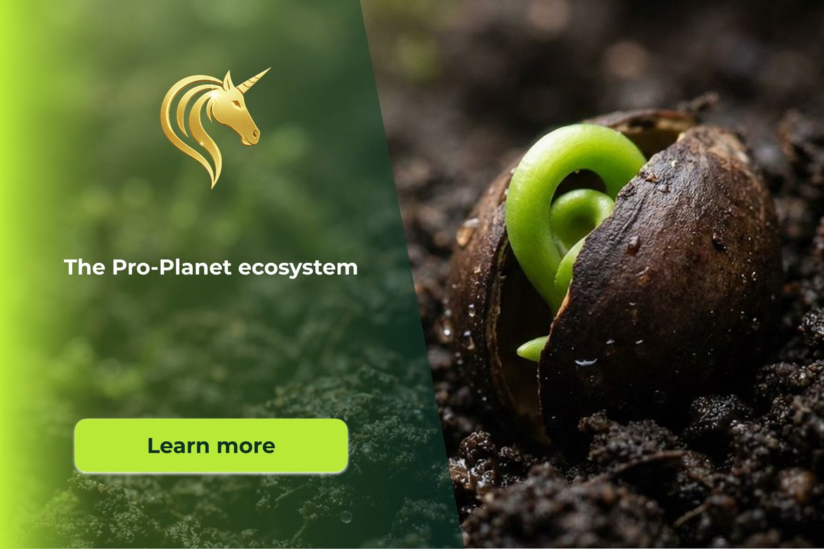 SanTerris One tweet media