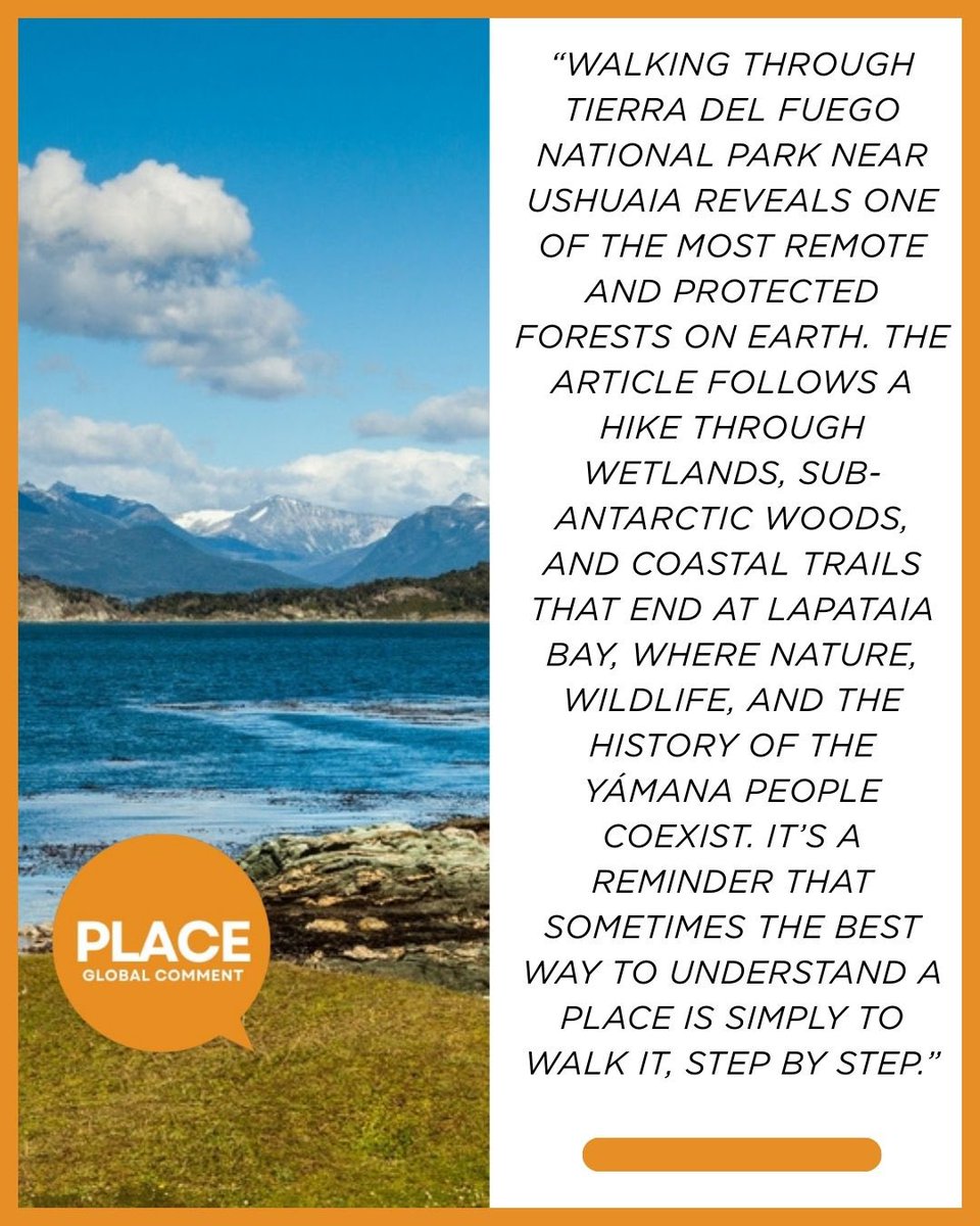 GlobalComment tweet media