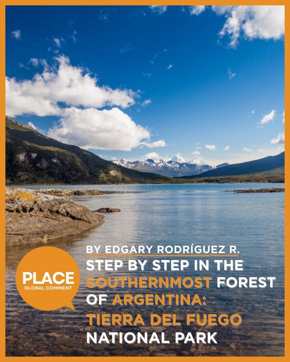 GlobalComment tweet media