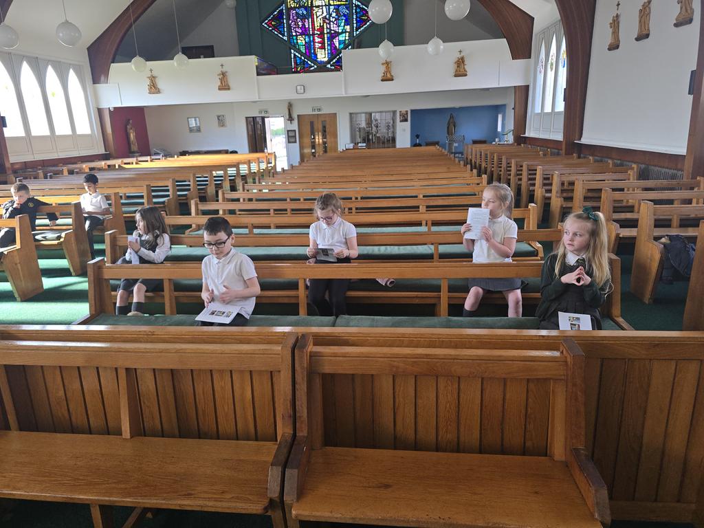 @stthomasprimary tweet media