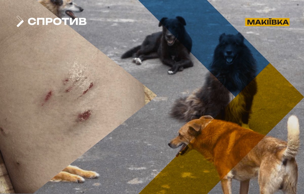 The National Resistance Center of Ukraine tweet media