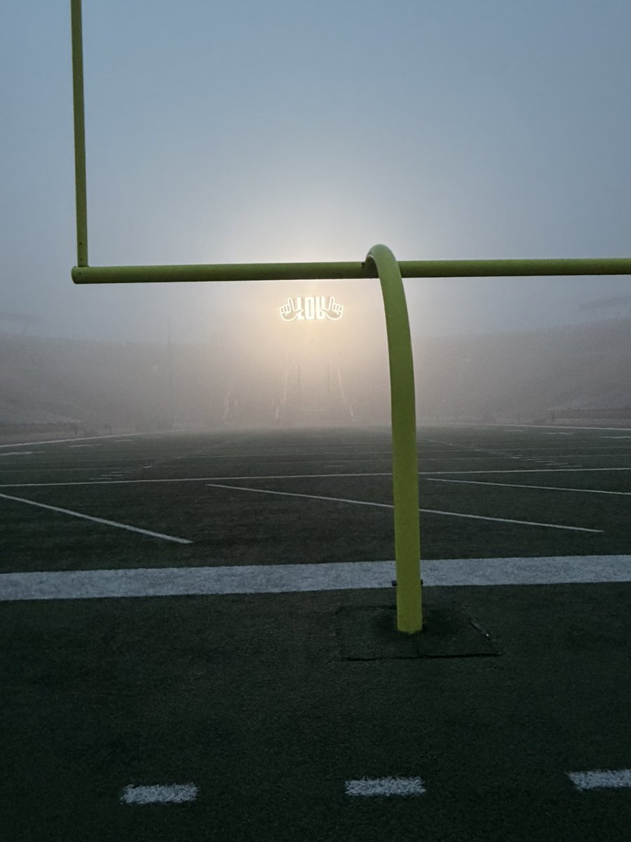 Katy Lonergan tweet media