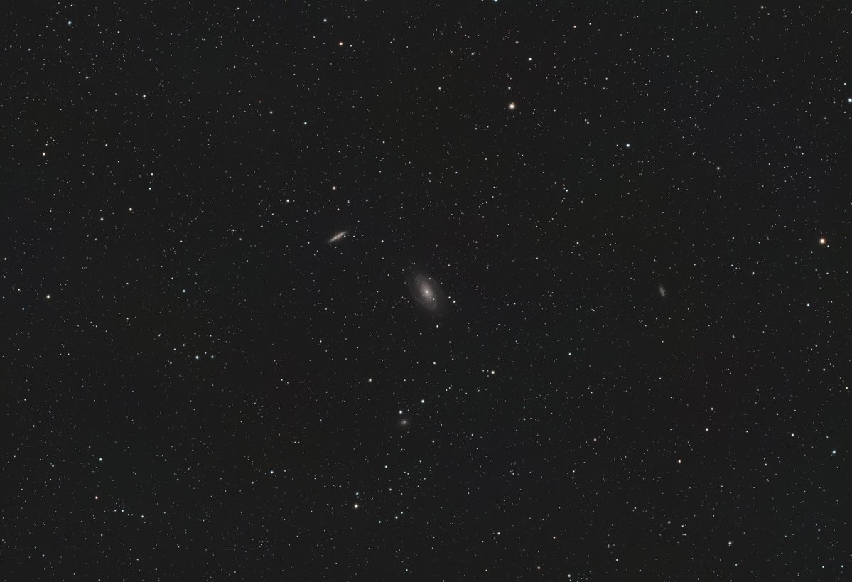 Leon1984 tweet media