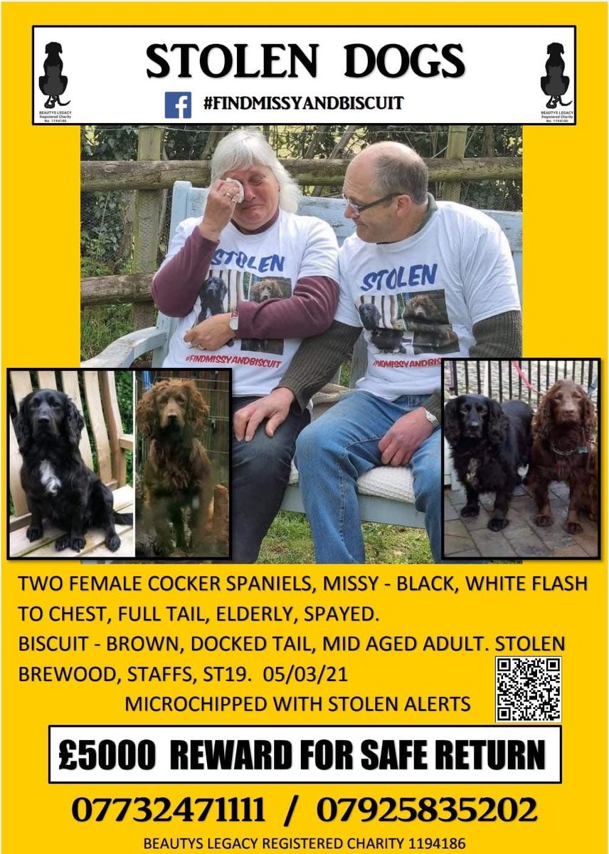 #SpanielHour 
THESE 2 BEAUTIFUL SPANIELS WERE CRUELLY TAKEN 5/3/21
Their family had to listen to CCTV footage of them SCREAMING 💔 
If you have one/both of these dogs look at this poster and how sad this family is, the stress caused 😓
And listen

facebook.com/share/v/1GRCoB…