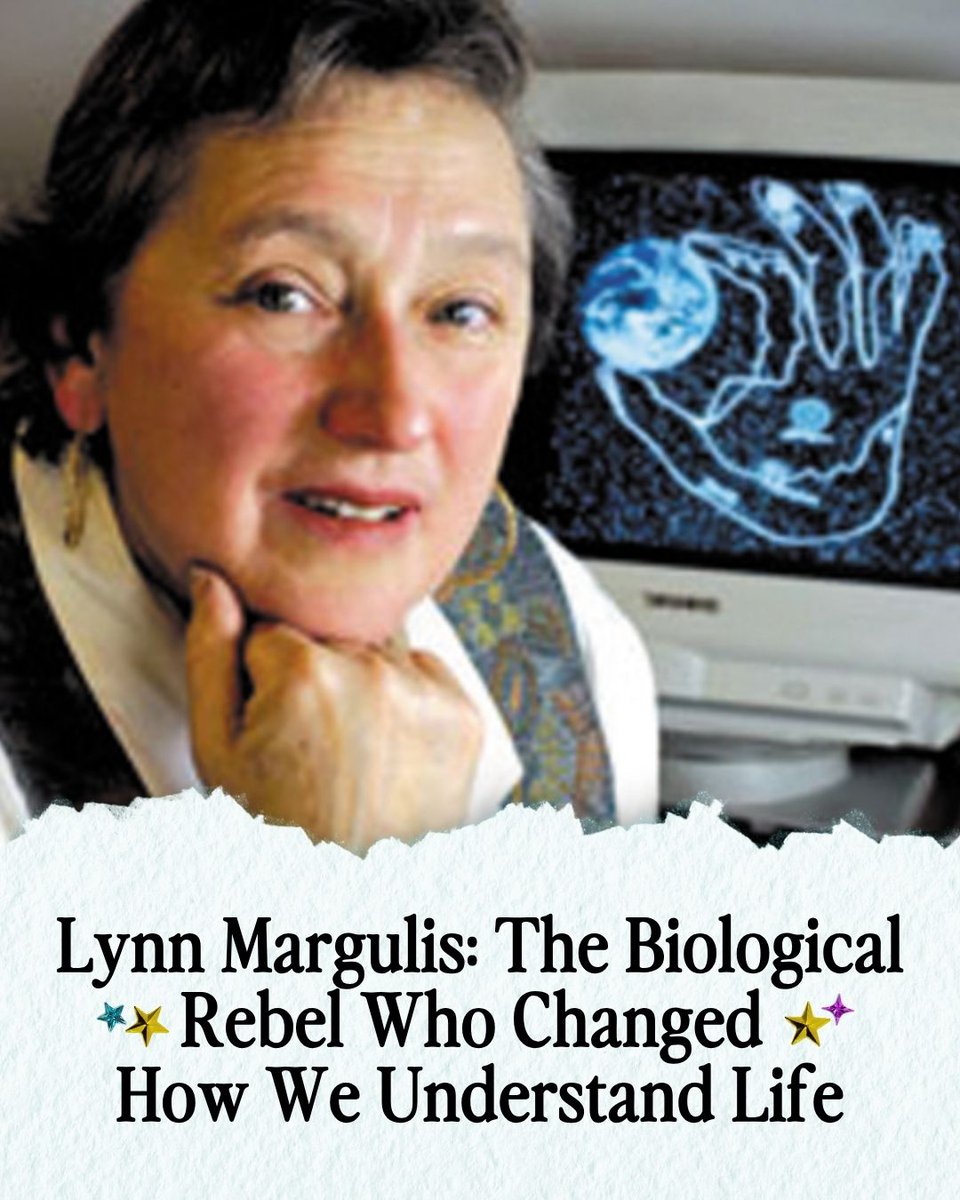 STEM Gems tweet media