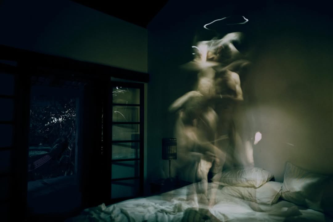 crowned dogs tweet media