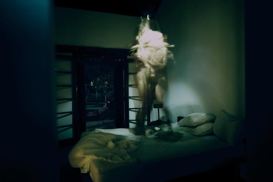 crowned dogs tweet media