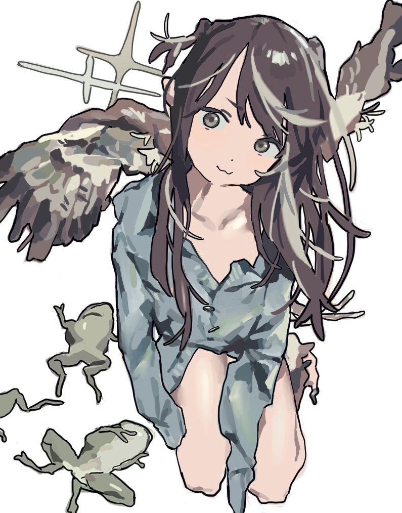 アザラシ tweet media