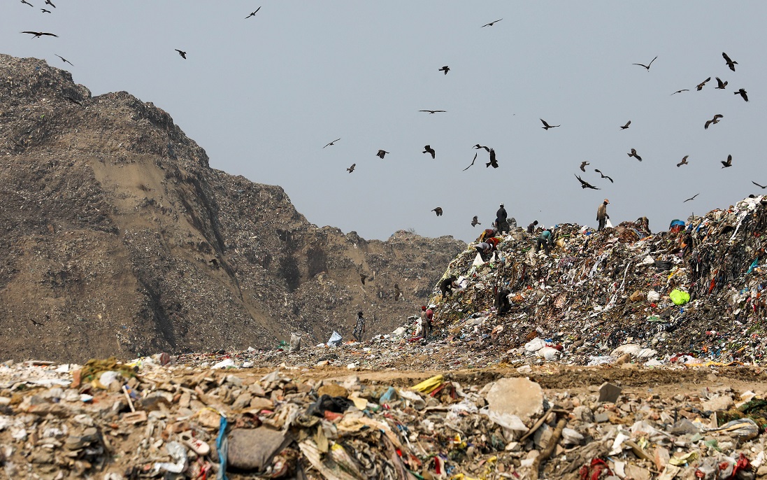 Down To Earth tweet media