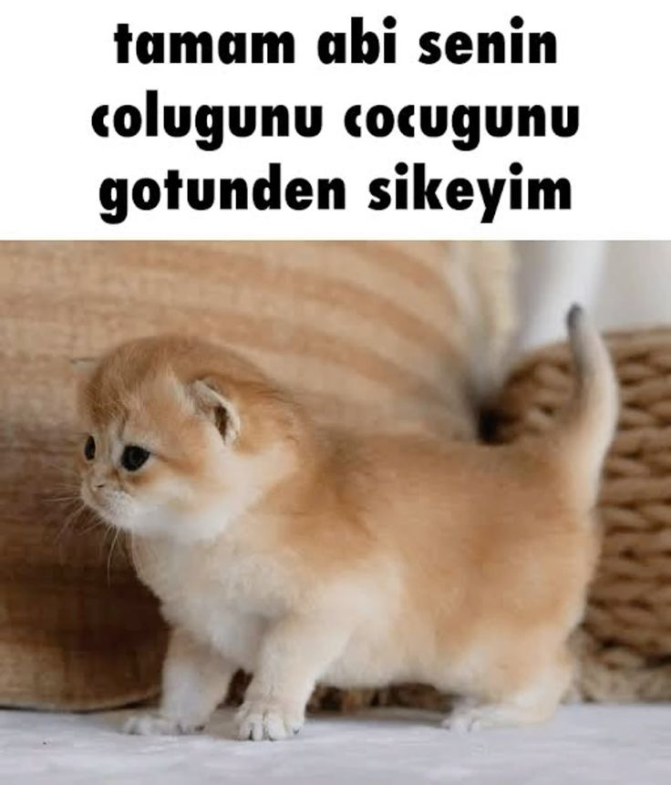 Fe_26___'s tweet photo. @zindemiyiz https://t.co/2LDYXWOJAn