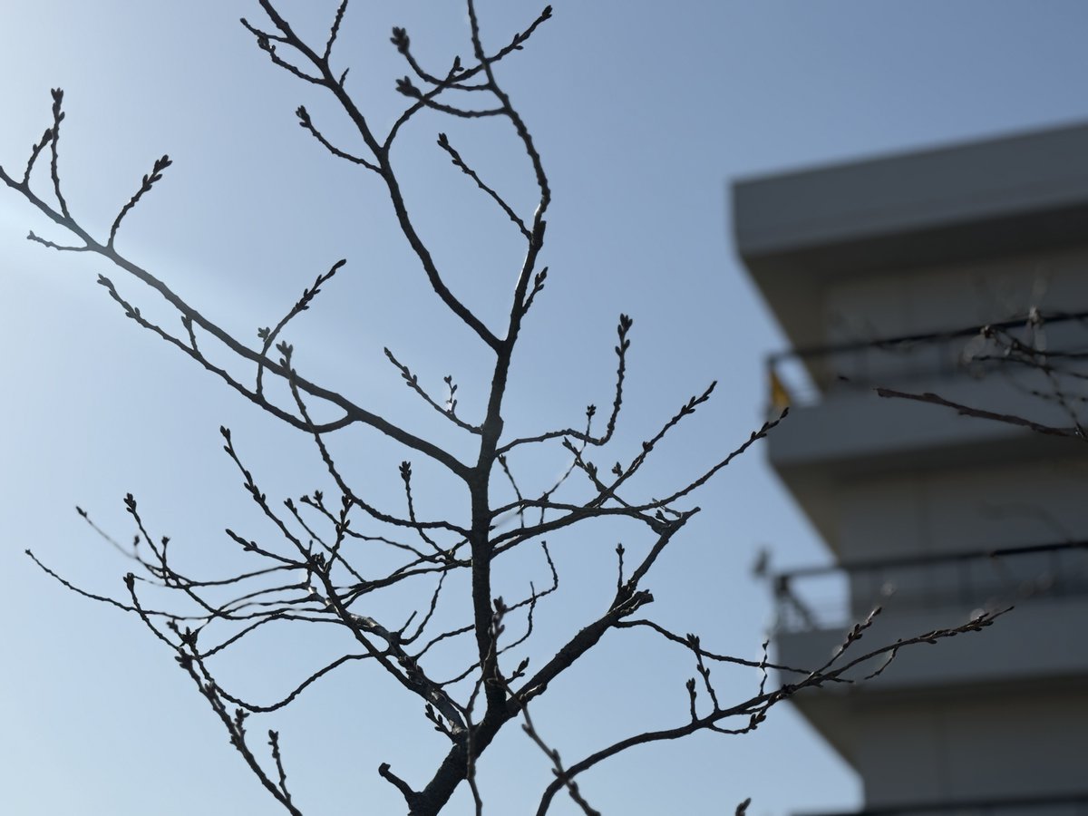 #本会議 で「ゼロ市債」に関する #補正予算 3議案を審議し、いずれも #賛成全員 で可決しました
#専決処分 3件の報告もありました
また議会運営委員会では、3/18から始まる一般質問の日程や発言順などを協議しました
shinjiyahiro.com/2026/03/05/03-…