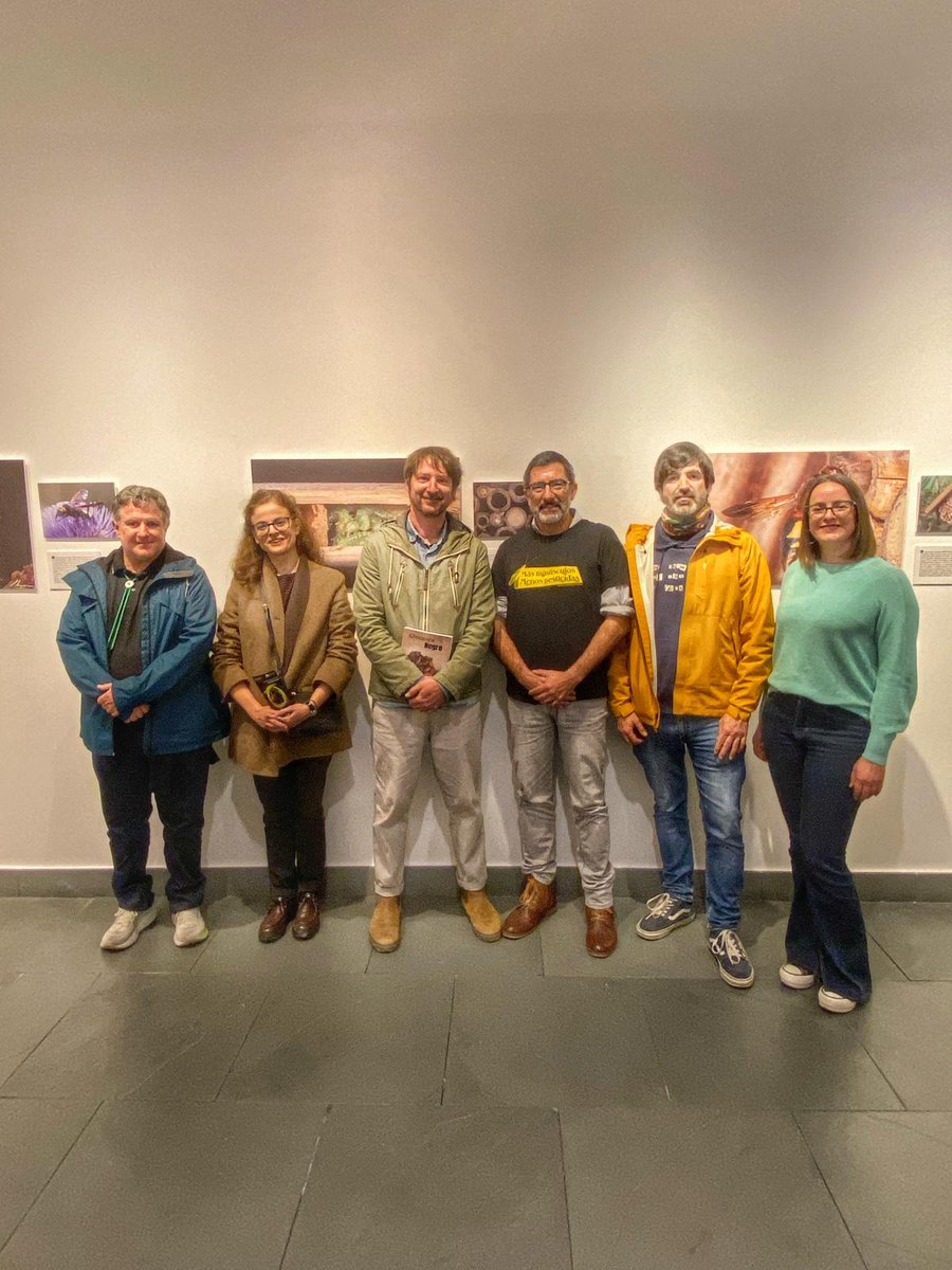 Coexphal tweet media