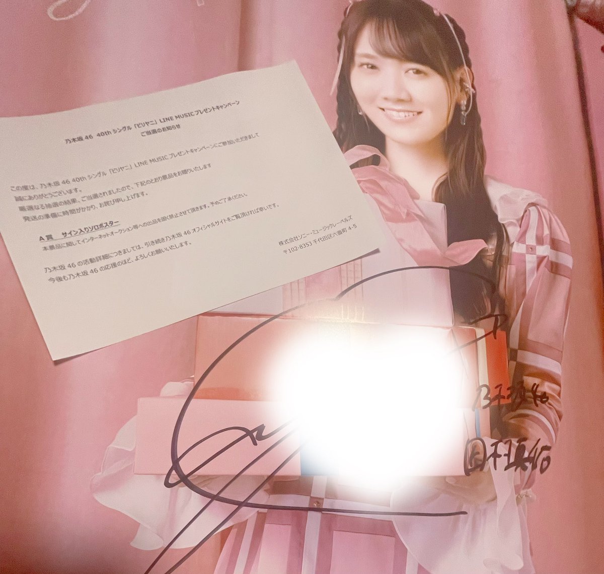 乃木坂46_ビリヤニ