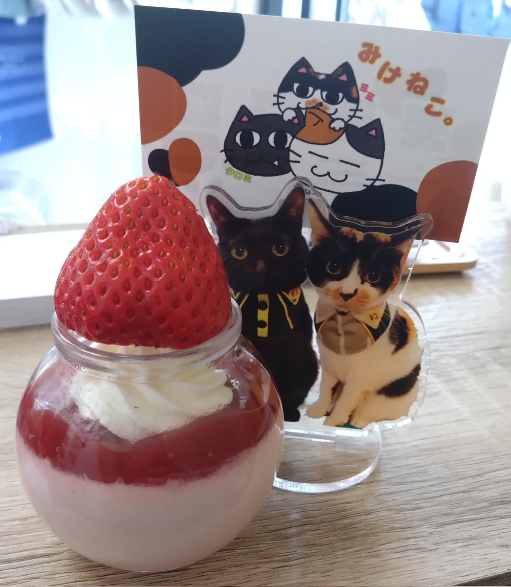 みけねこ。 (@mike_myi) / Posts / X