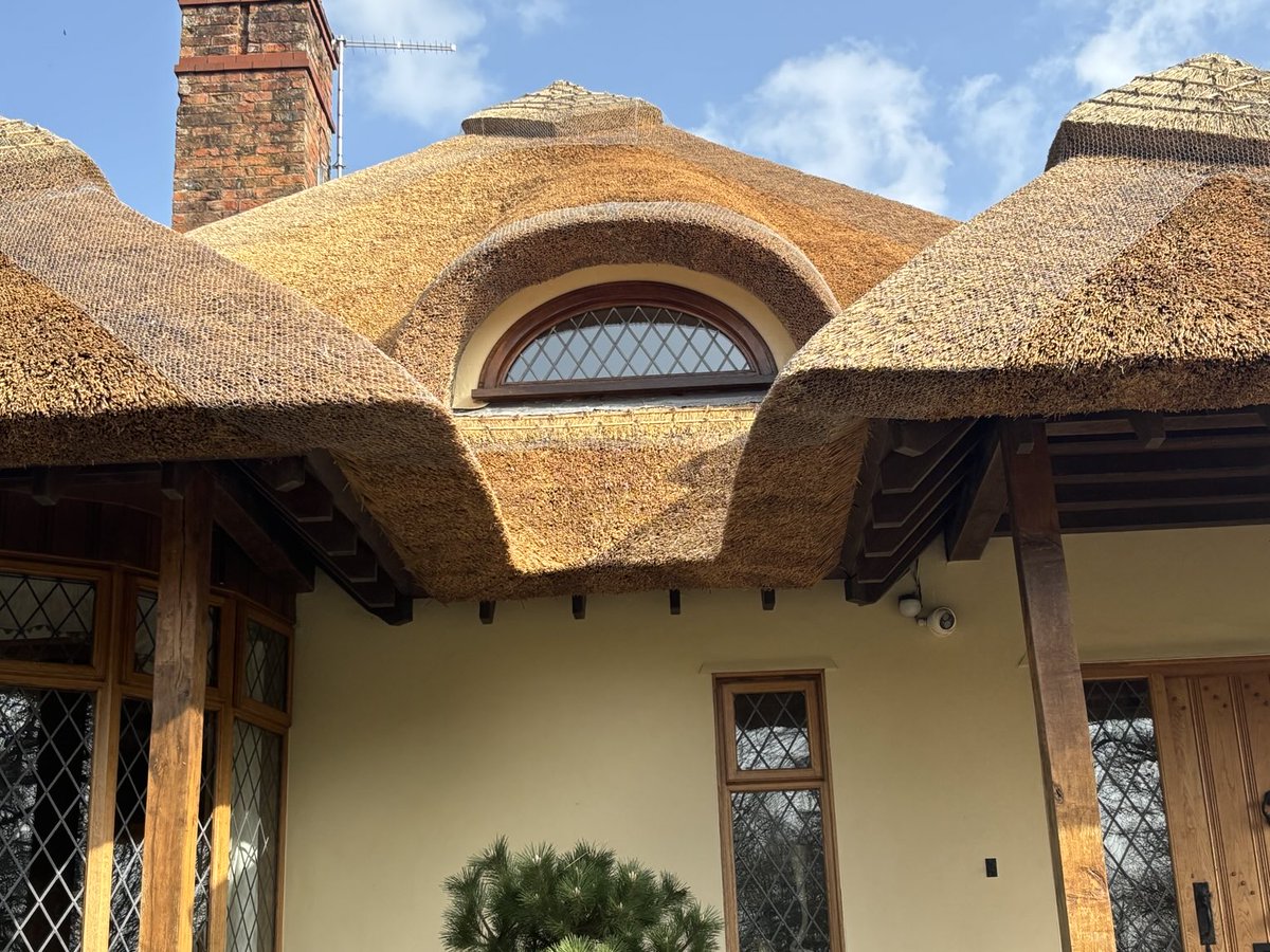 Master Thatchers Ltd tweet media