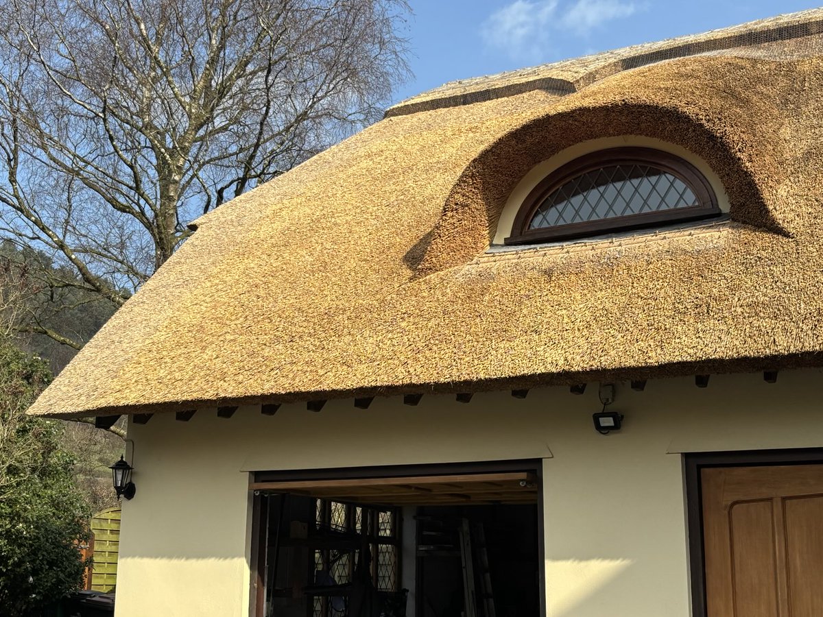 Master Thatchers Ltd tweet media