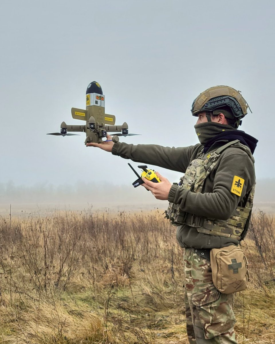 Wild Hornets tweet media