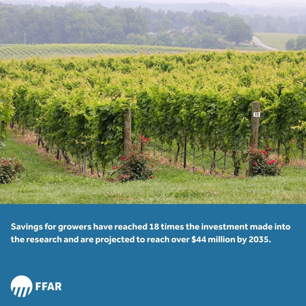 Foundation for Food & Agriculture Research (FFAR) tweet media