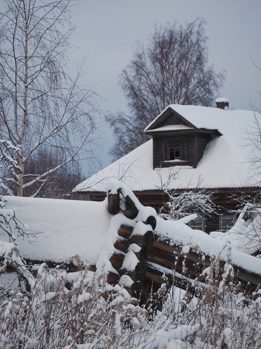 Ебенолог Глушеведович 🌲 tweet media