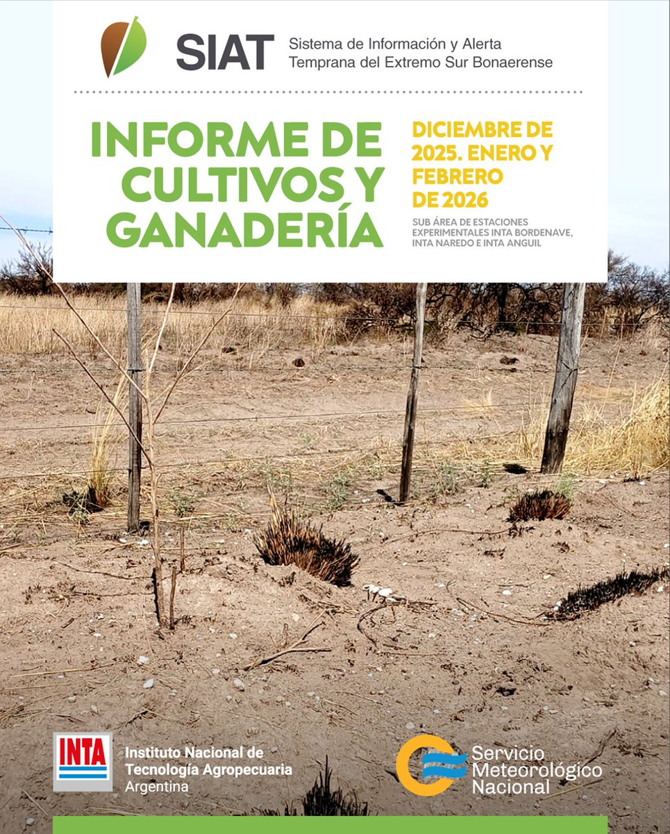 INTABordenave's tweet photo. 1/📍 Sistema de Información y Alerta Temprana del sudoeste bonaerense (#SIAT) 📋 Informe de #cultivos y #ganadería🌿🎋🐃🐂
📌Sub áreas de INTA Bordenave, INTA Cesáreo Naredo e INTA Anguil
➡️Trimestre👉Diciembre 2025, enero y febrero 2026📊 https://t.co/GKcHuW6GkK