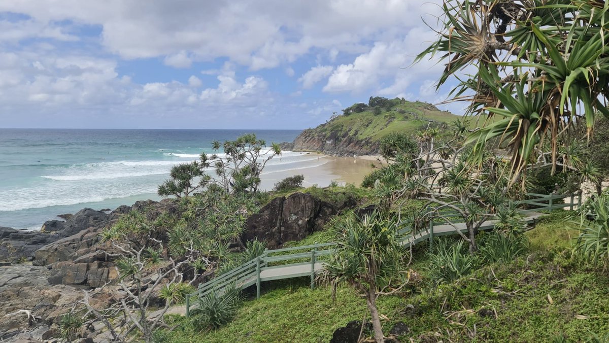 Today’s office 🌴