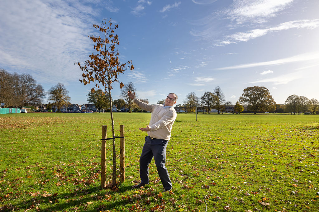Trees for Streets tweet media